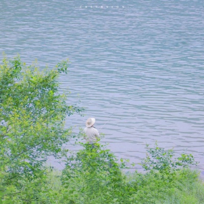 兽设花海场景设计福瑞群